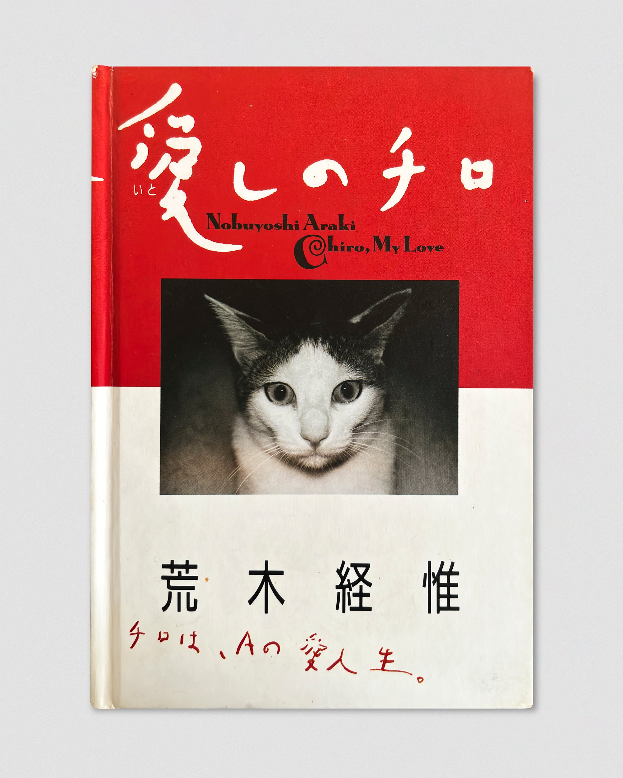 Chiro, My Love – In Form Library