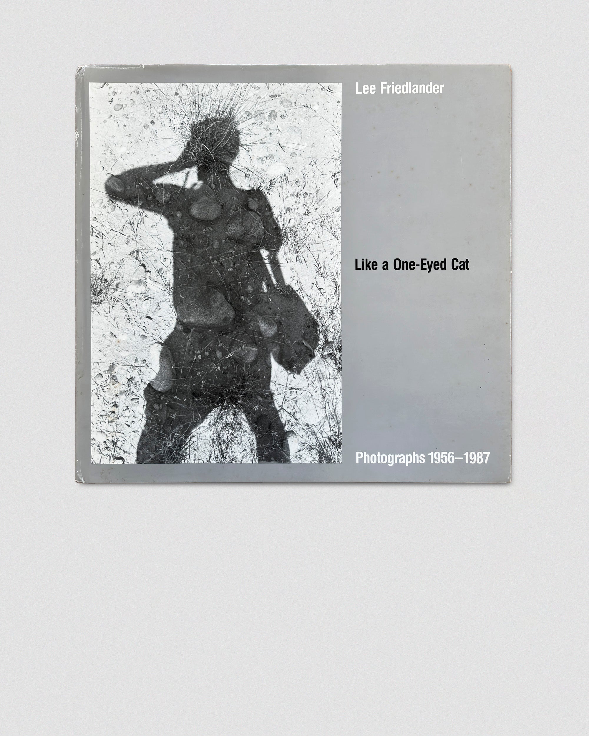 Like A One-Eyed Cat - Lee Friedlander – In Form Library