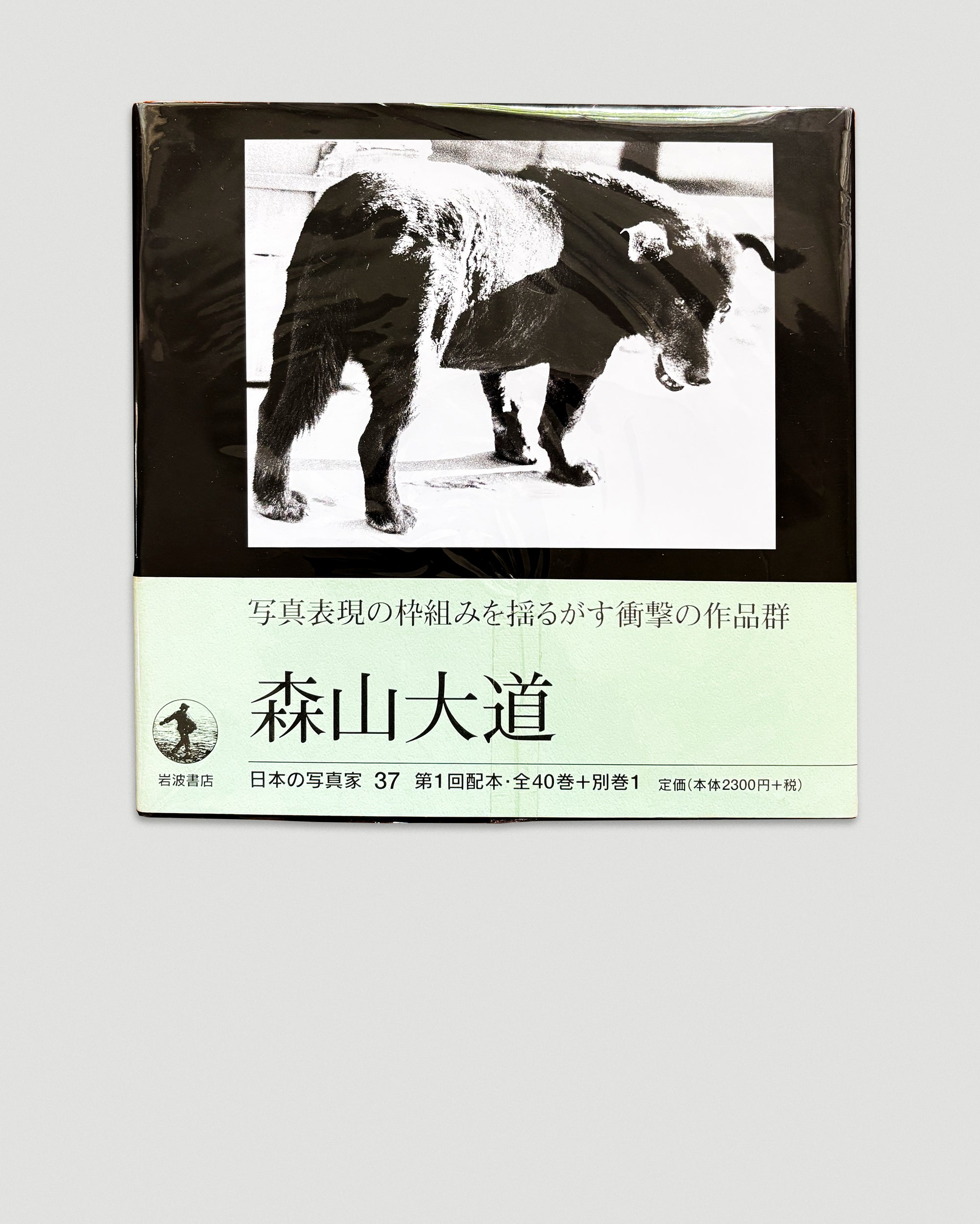 Japanese Photographer #37