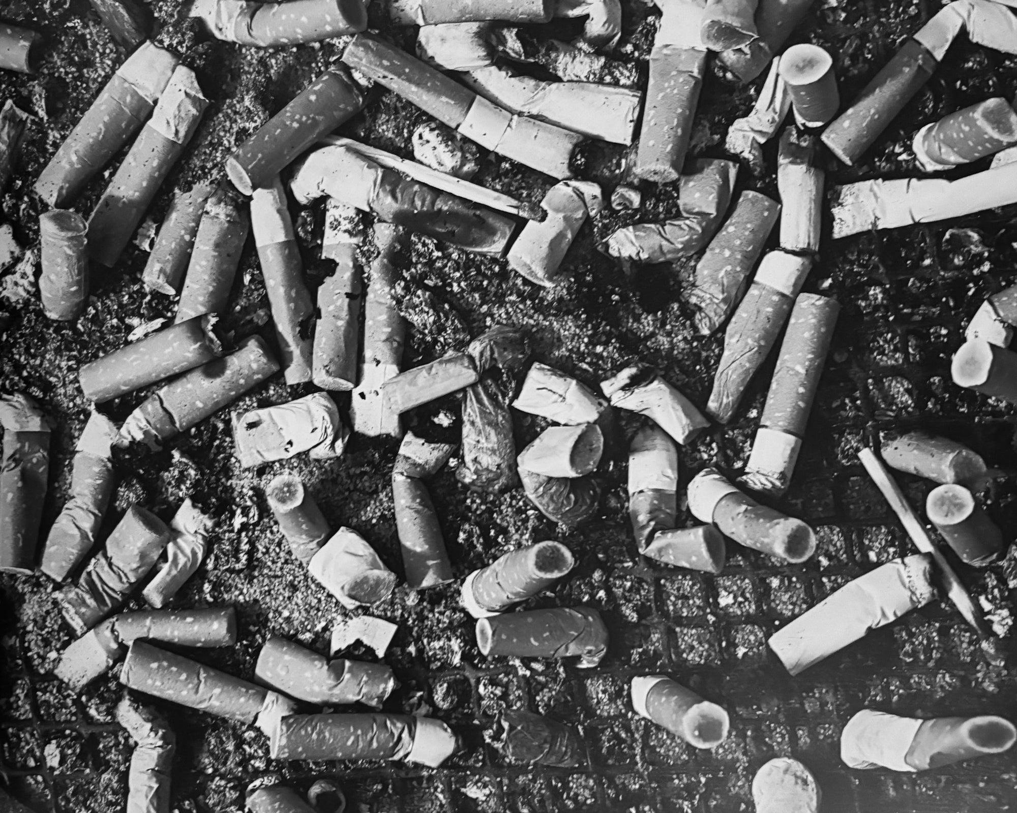 Stern Fotografie Portfolio No. 62