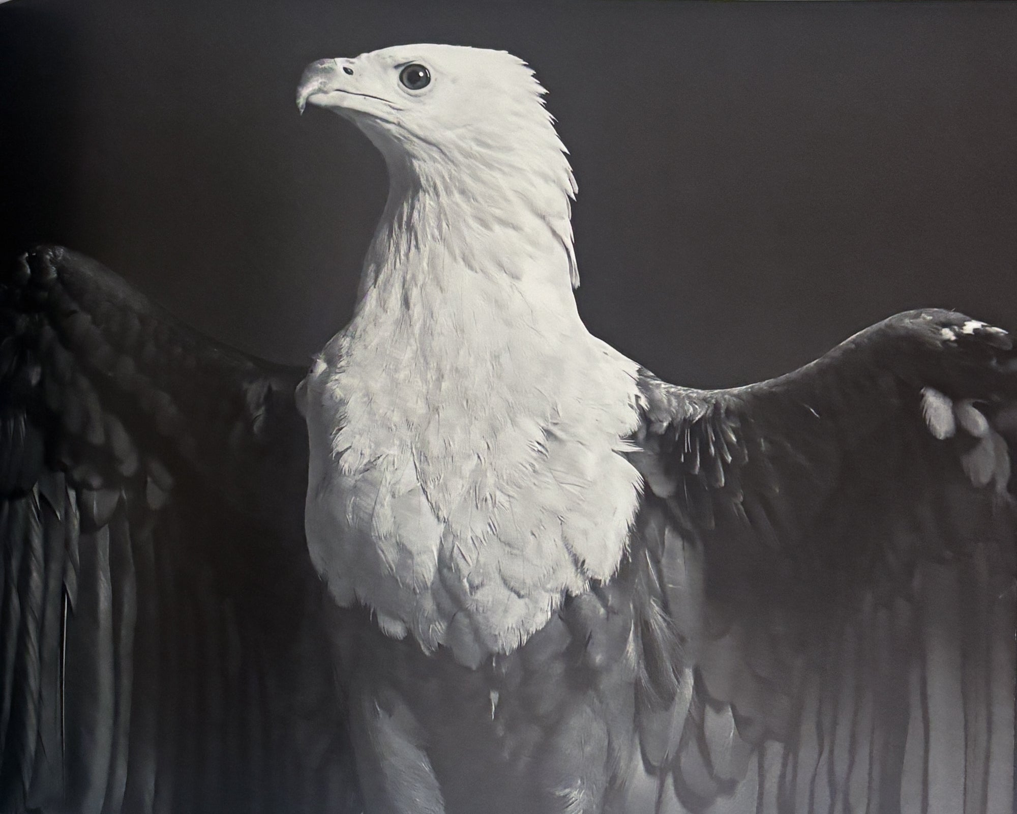 Stern Fotografie Portfolio No. 62