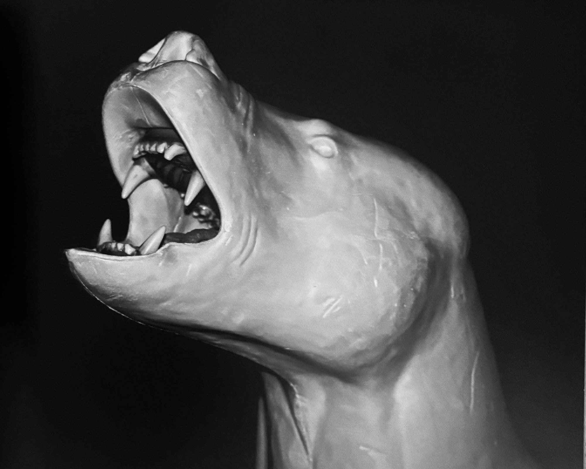 Stern Fotografie Portfolio No. 62