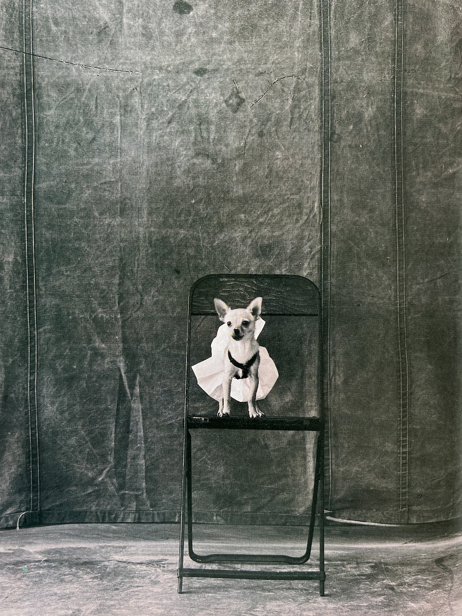 i-D - Family Future Positive - i-D Magazine – In Form Library