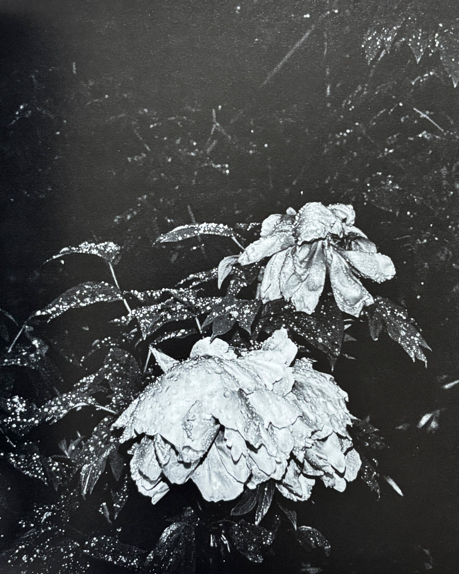 Fragments of Calm