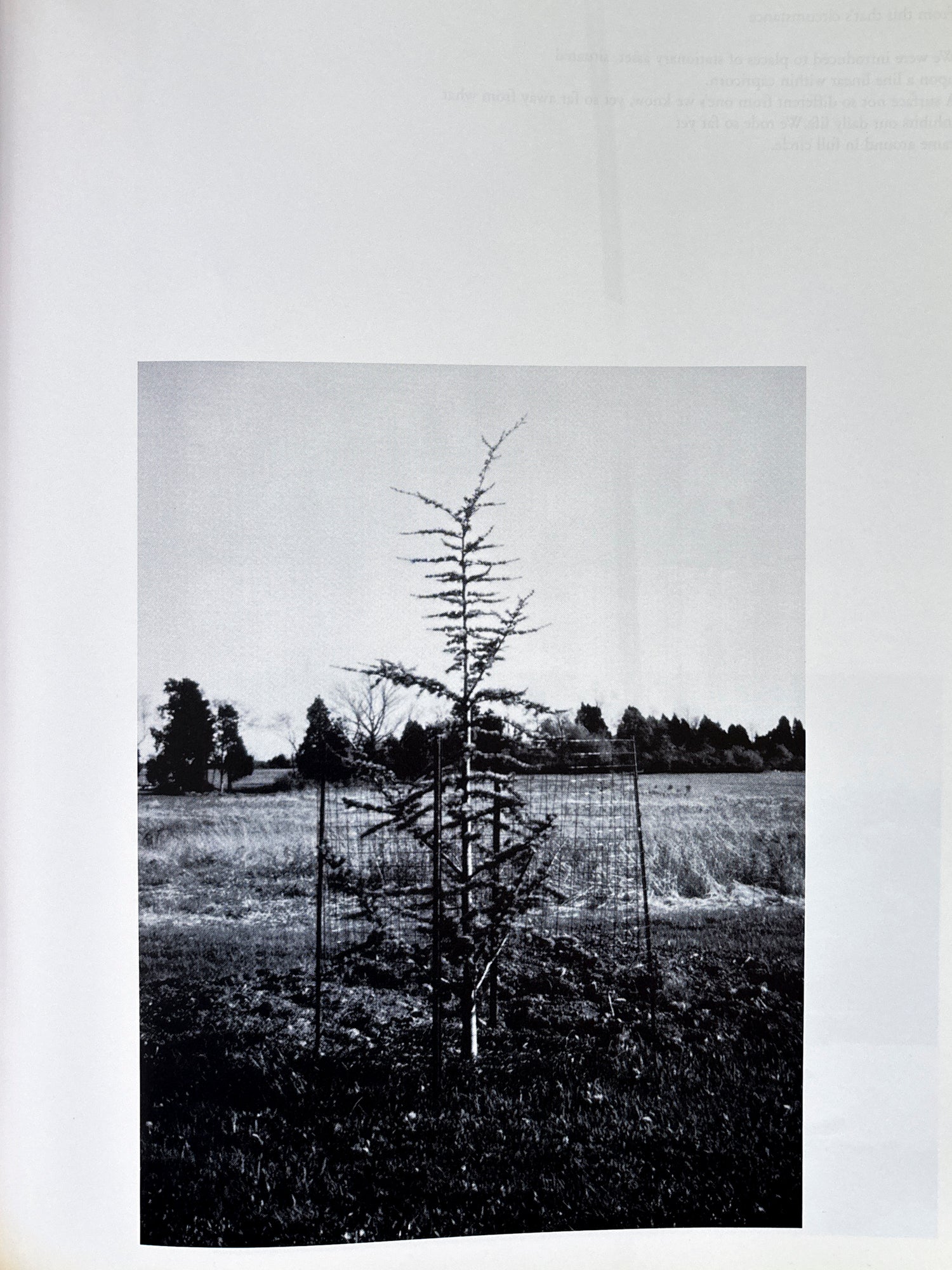 Social Documentaries Amid This Pist