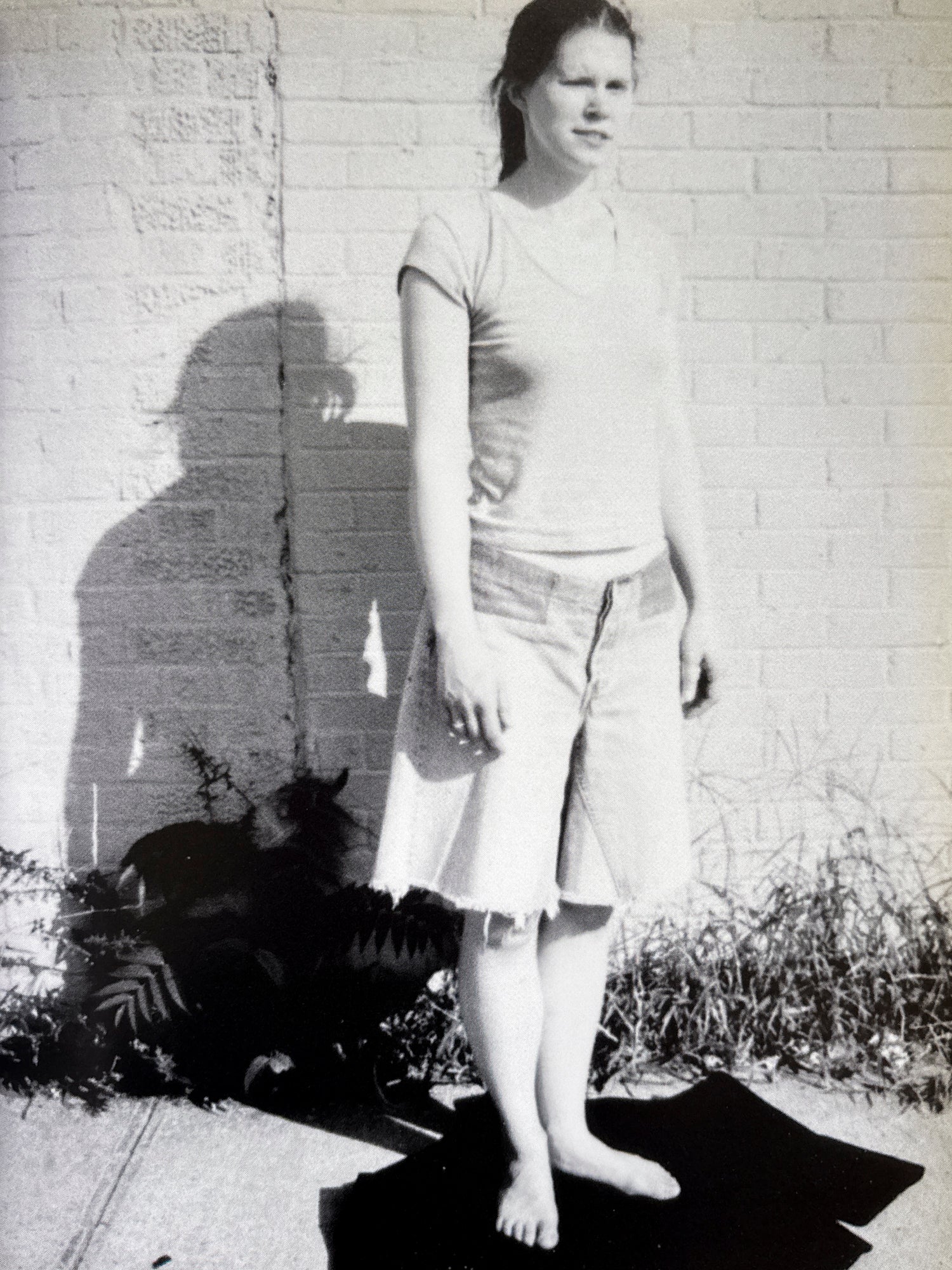 Social Documentaries Amid This Pist