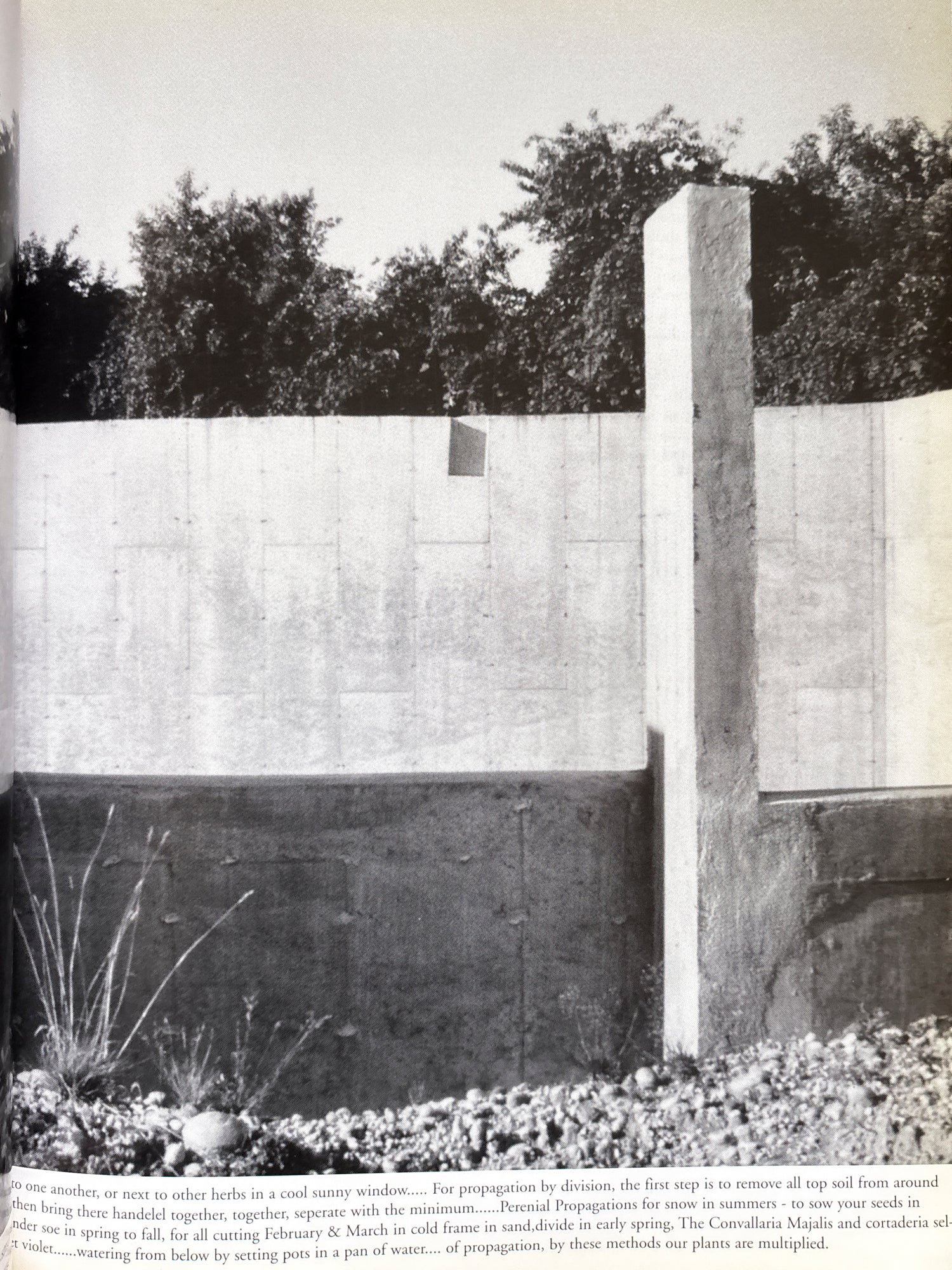 Social Documentaries Amid This Pist