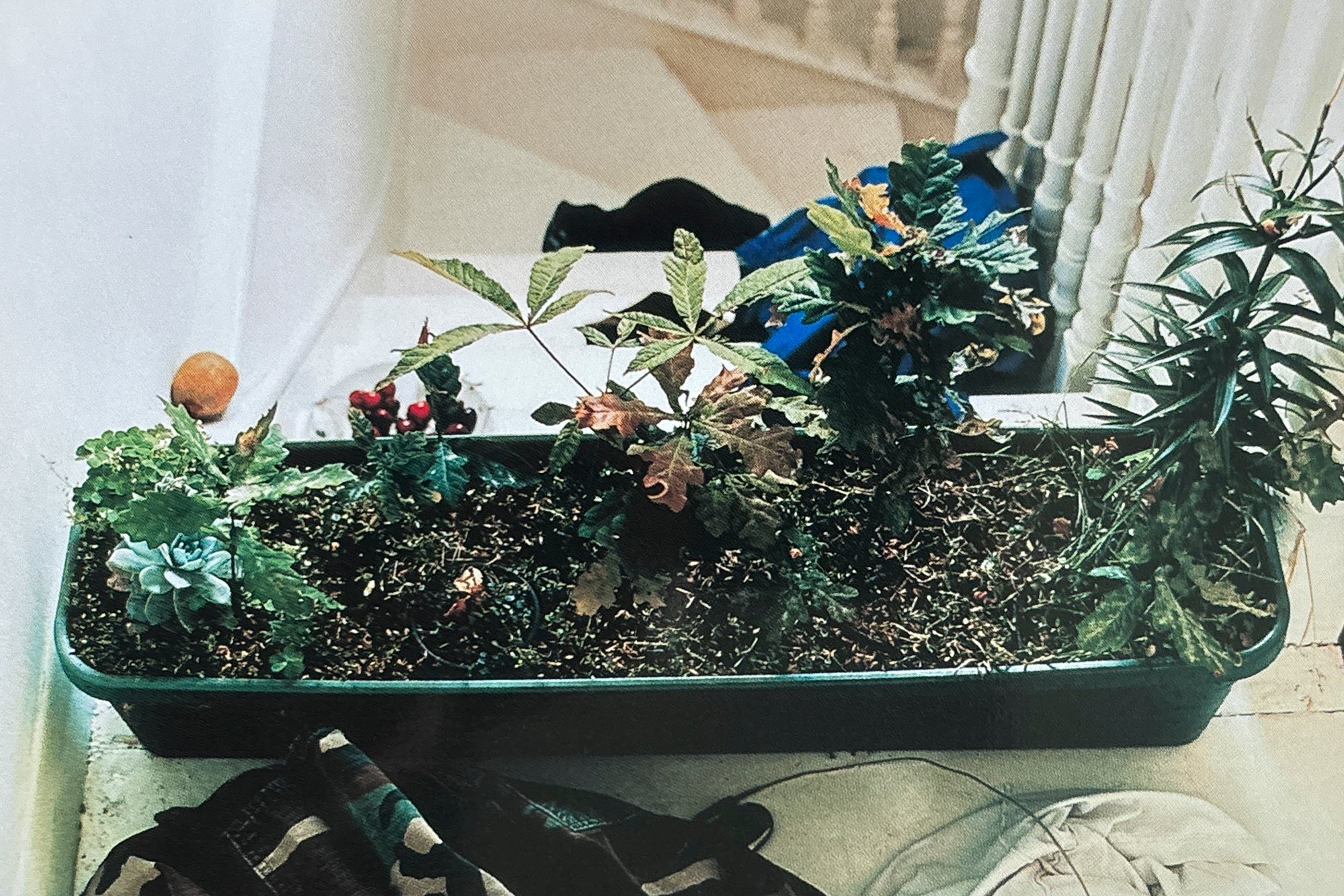 Snap Art Collection 003: Wolfgang Tillmans