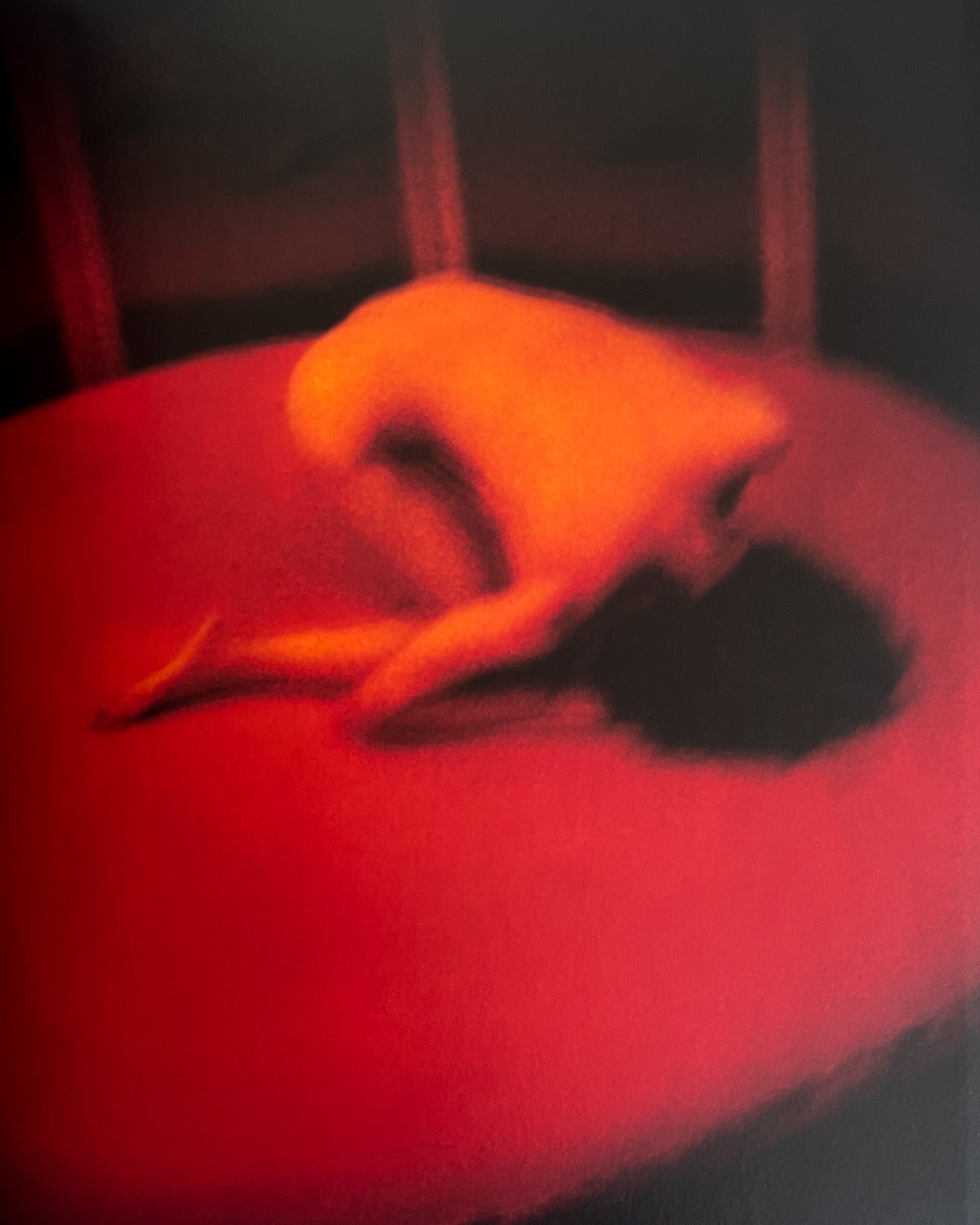 Antoine d'Agata: Situations Antoine d'Agata •