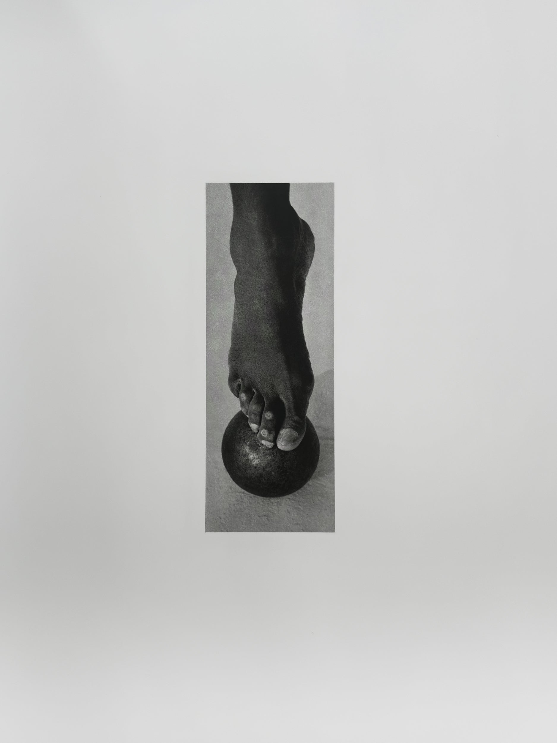 Pictures - Herb Ritts – In Form Library