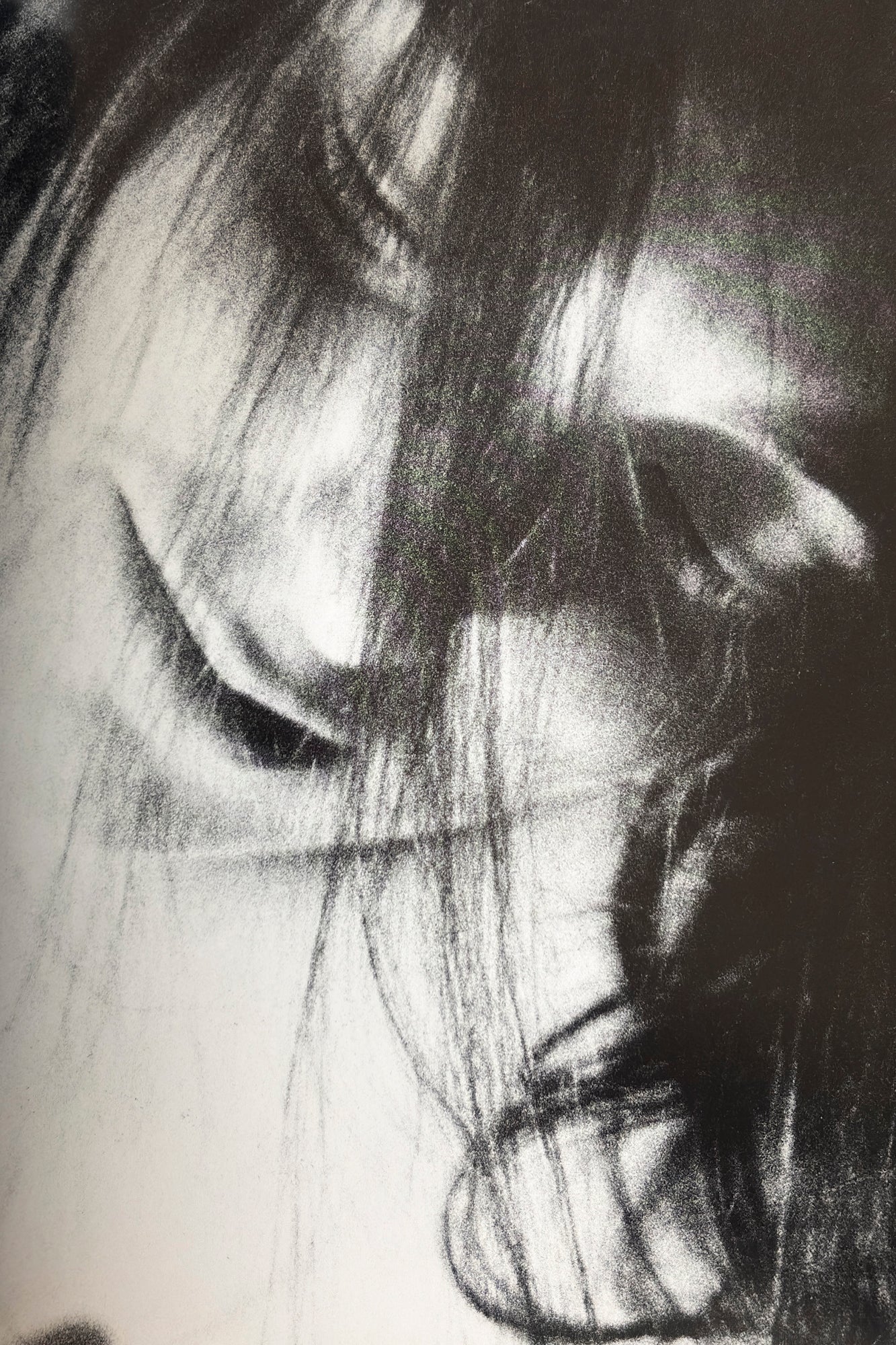 Visionary Vision of Sanne Sannes