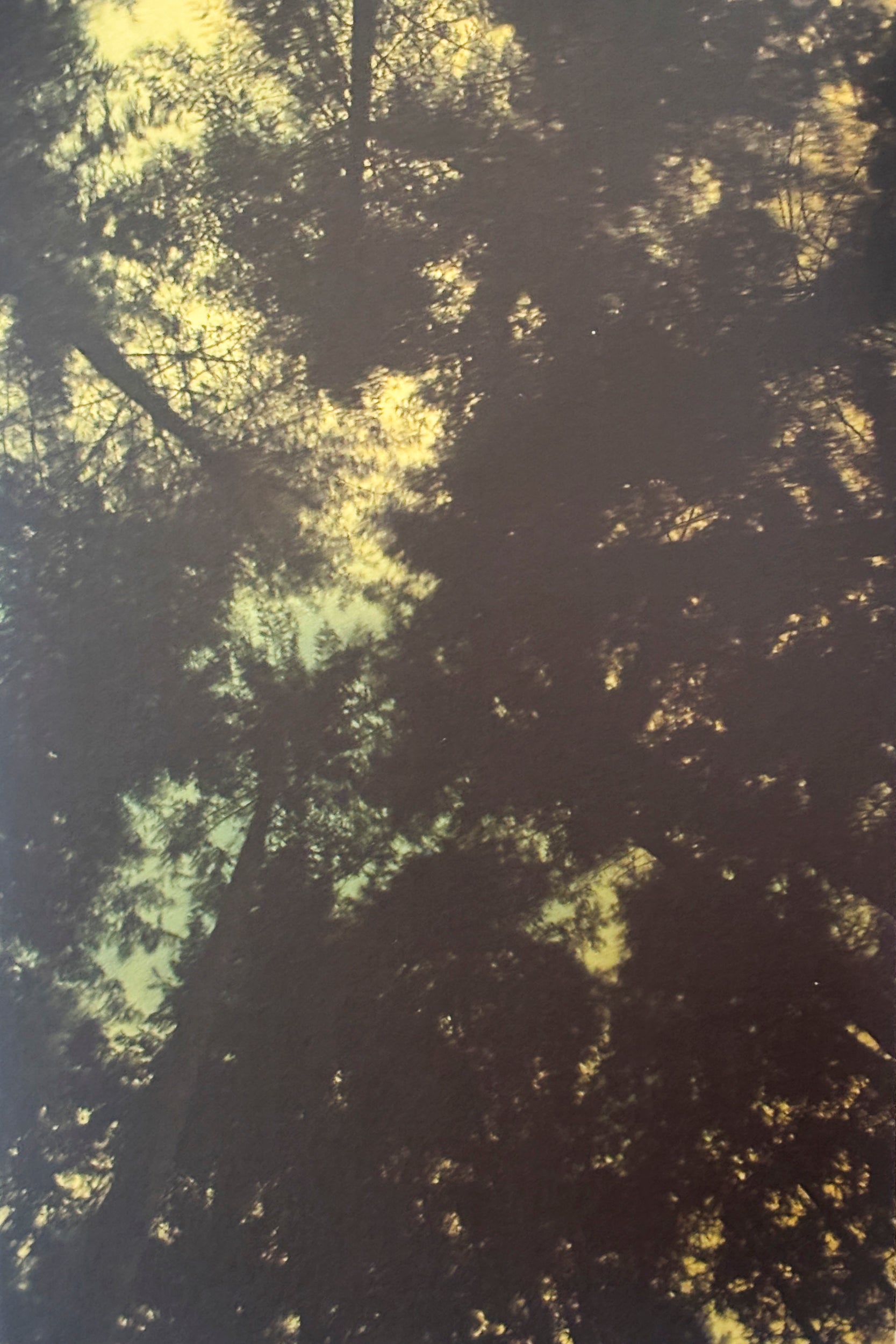 Reach Out, I'm Right Here - Ryan Mcginley – In Form Library
