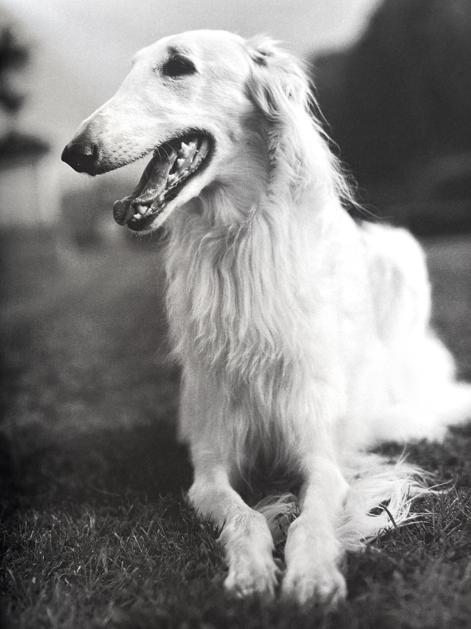 Bruce Weber
