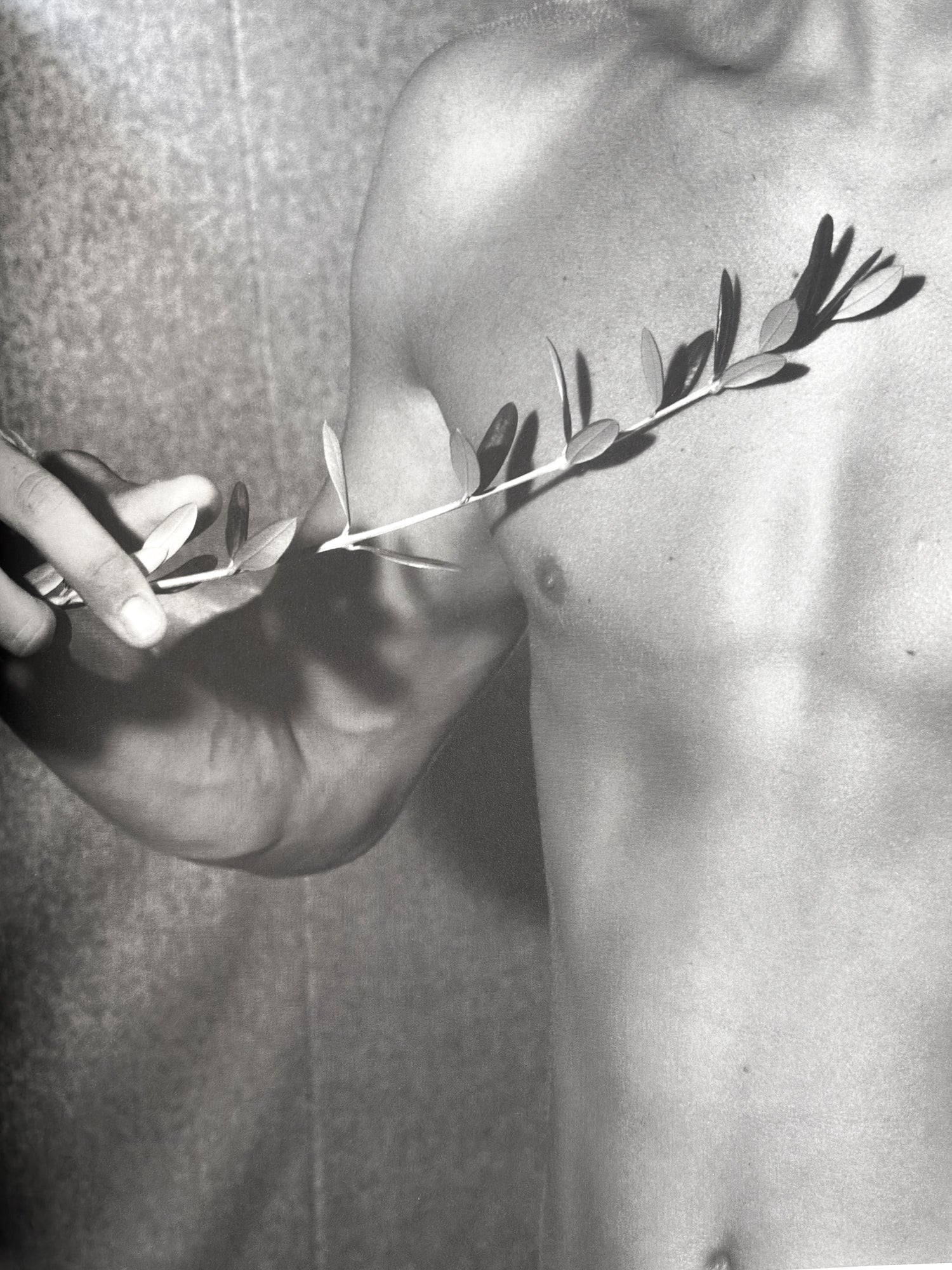 Bruce Weber - Bruce Weber – In Form Library