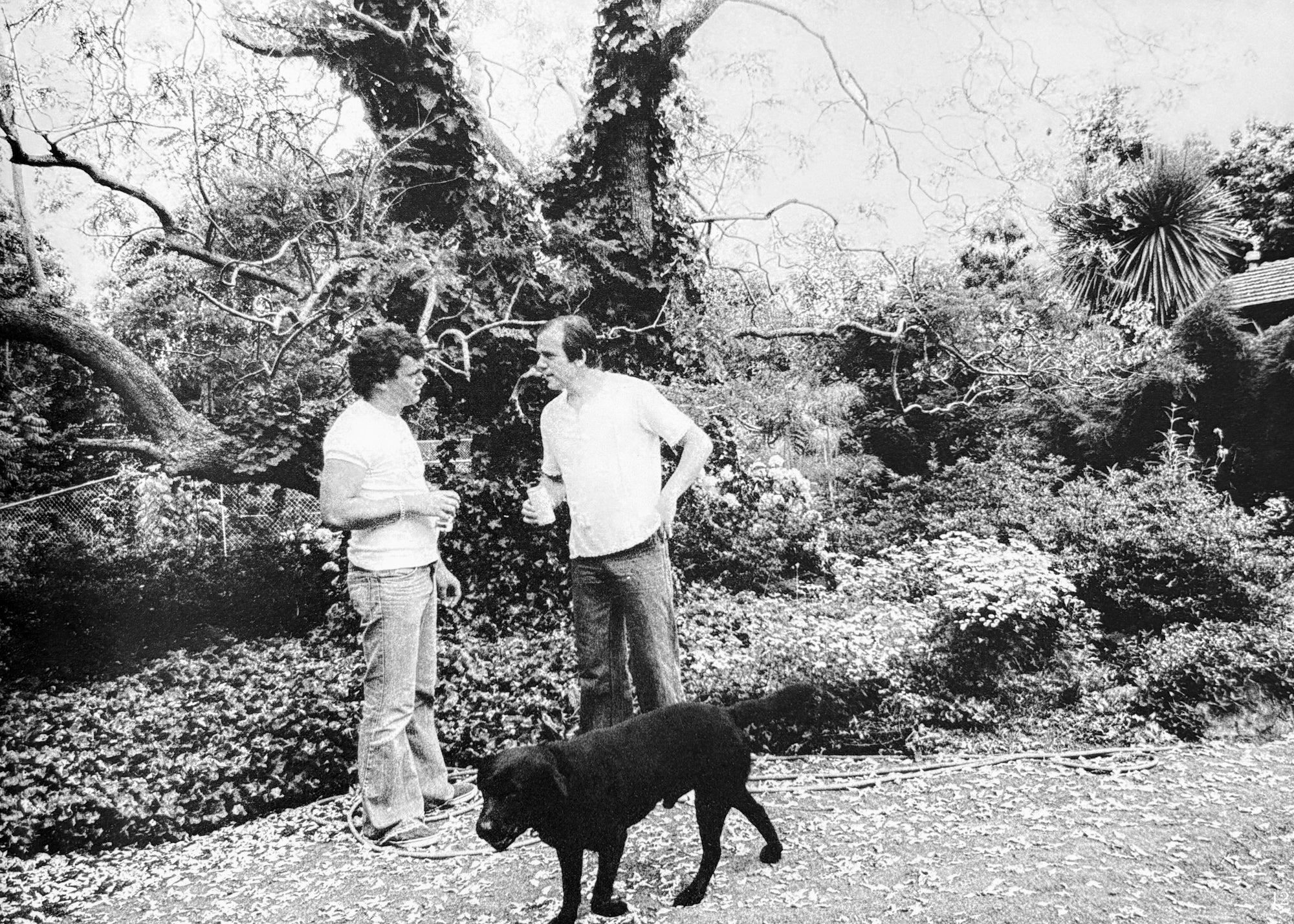 Beyond the Bridge (Hashi o wataru to)