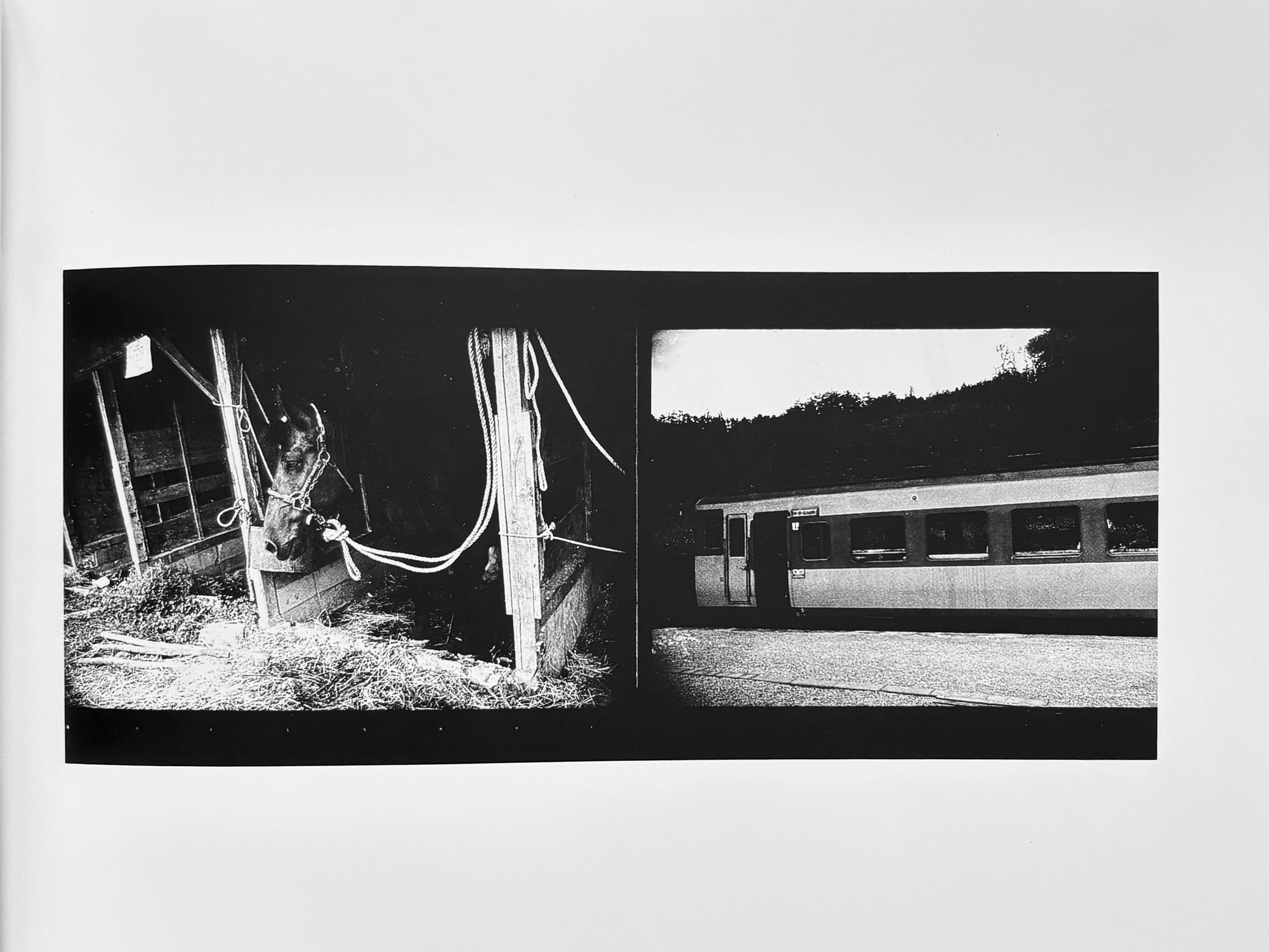 Japanese Photographer #37