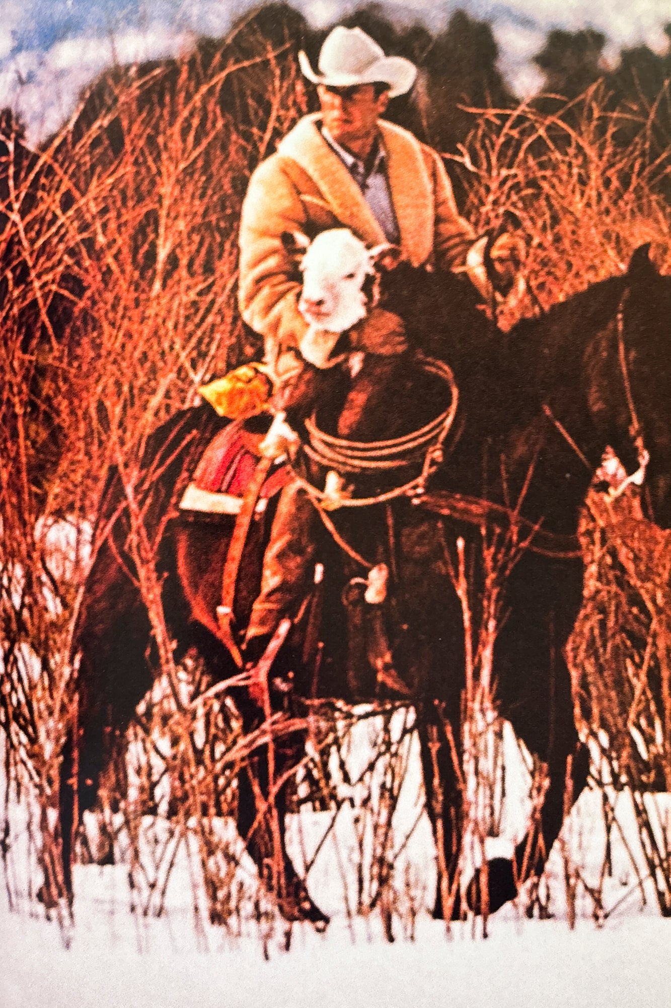 Man