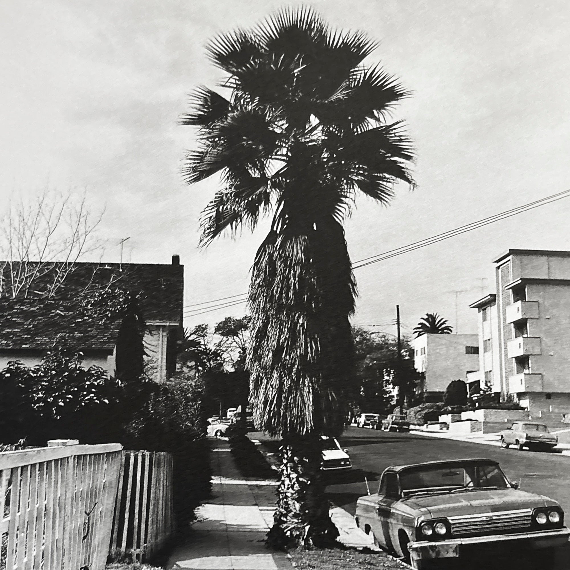 Ed Ruscha Photographs: Seven Products, Twentyfive Apartments, Three Palm Trees, Six Rooftops, and One Aerial View
