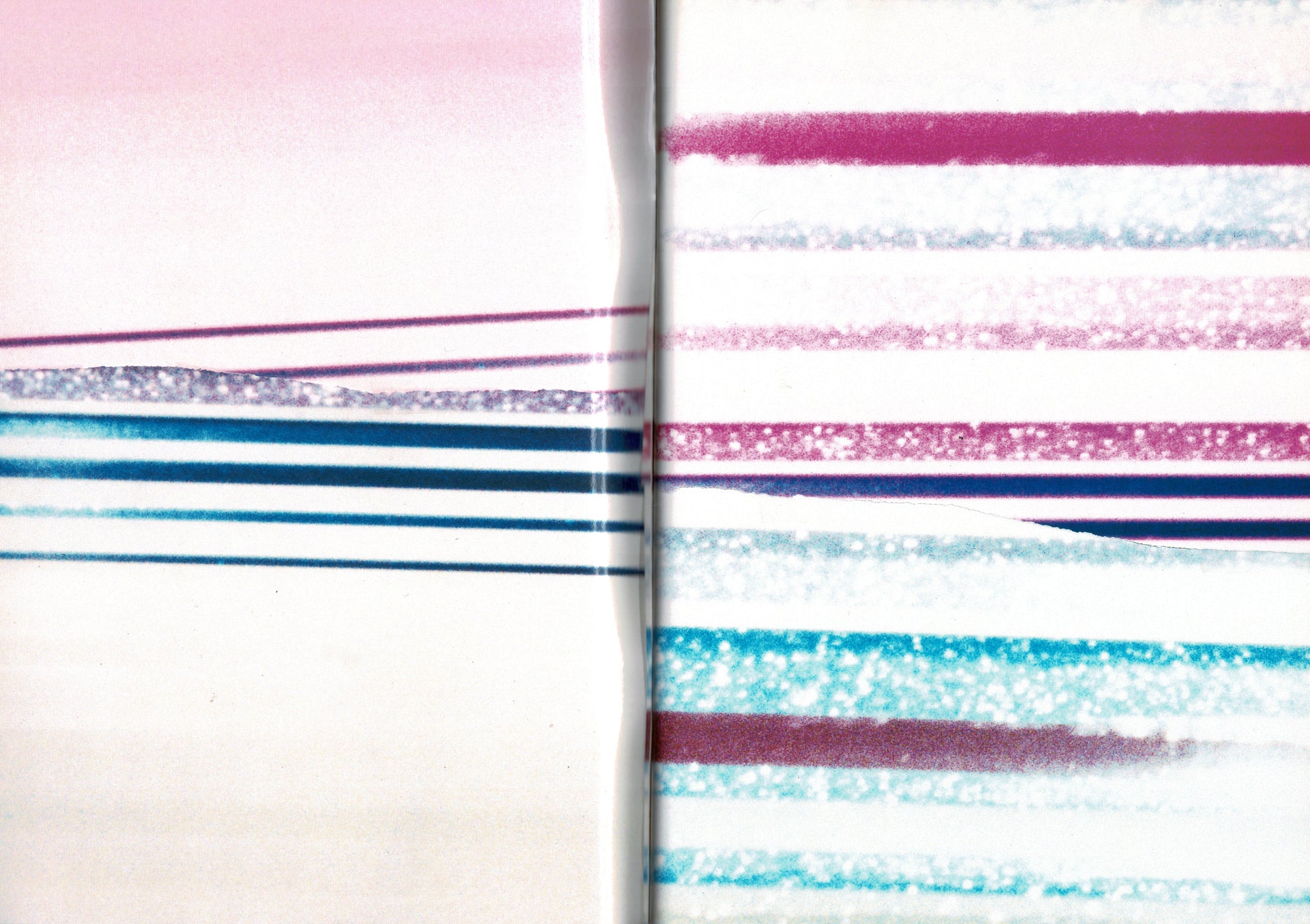 International #2 (Fall/Winter 2001)