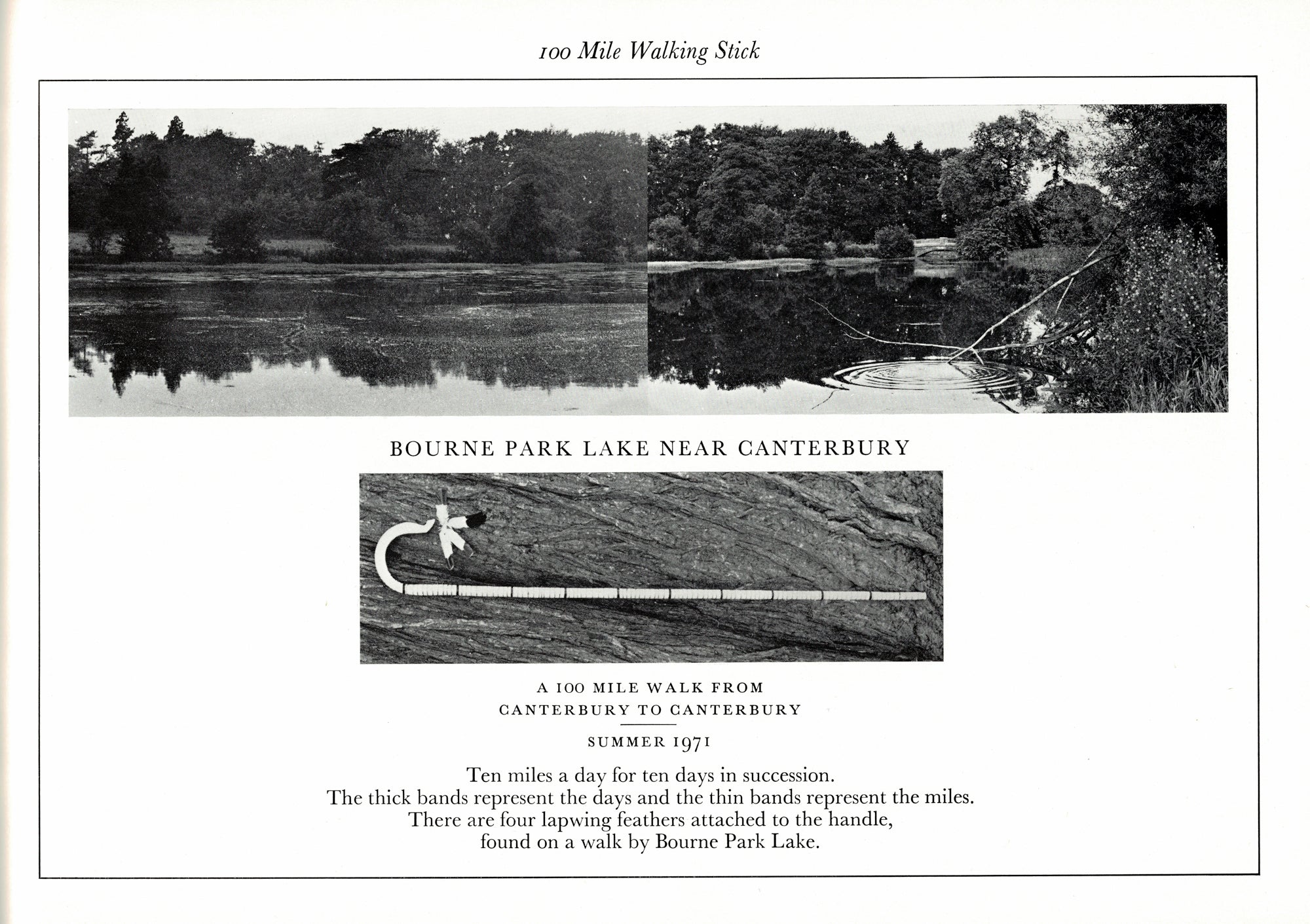 Hollow Lane