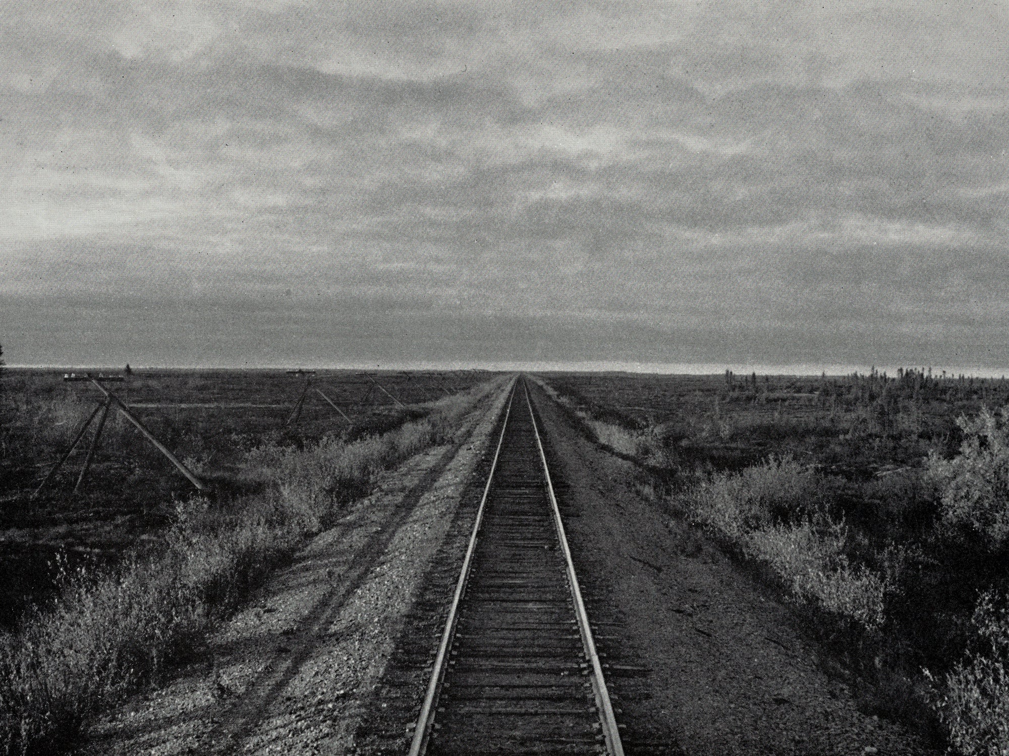 Hollow Lane