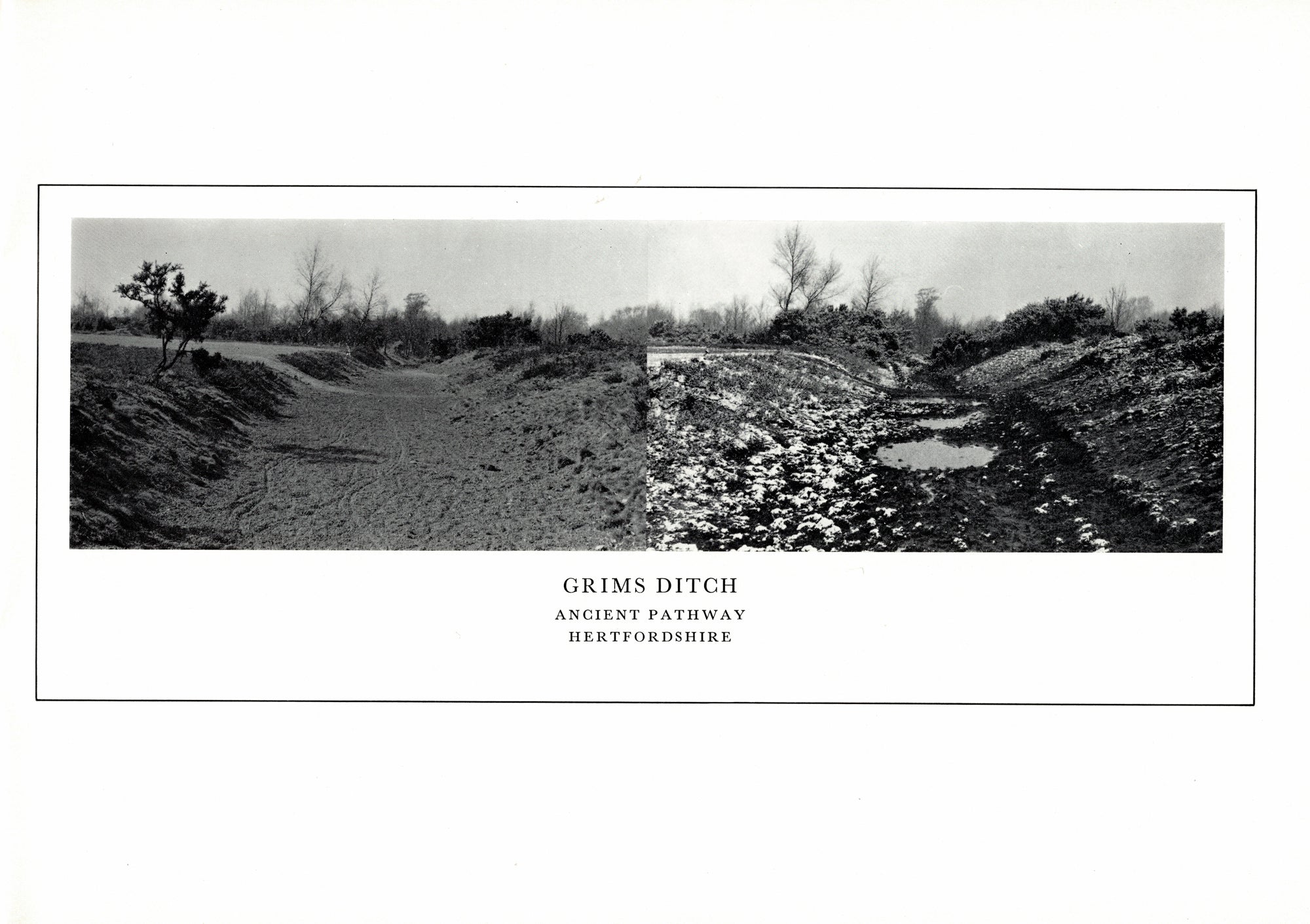Hollow Lane