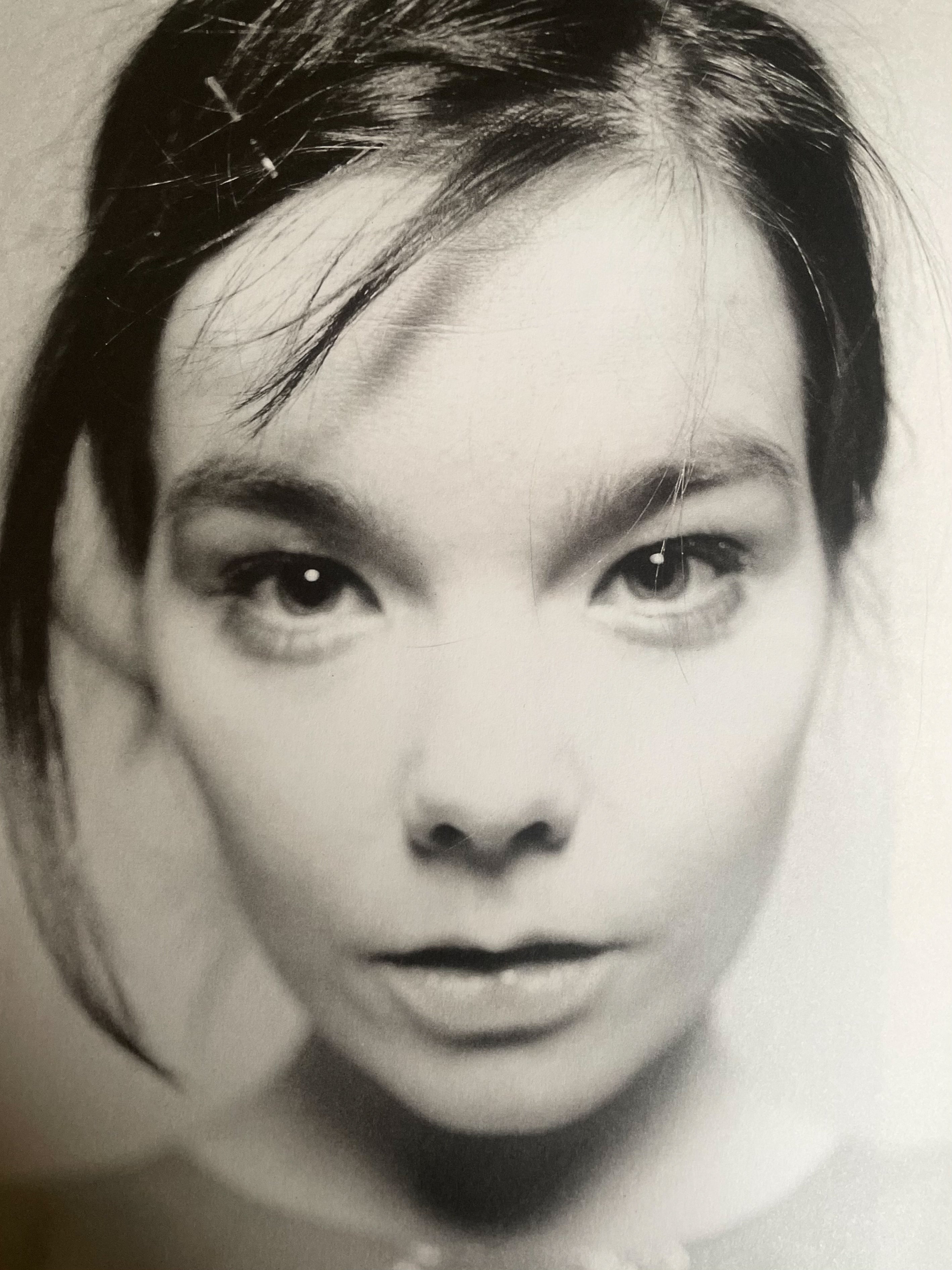 Björk as a book