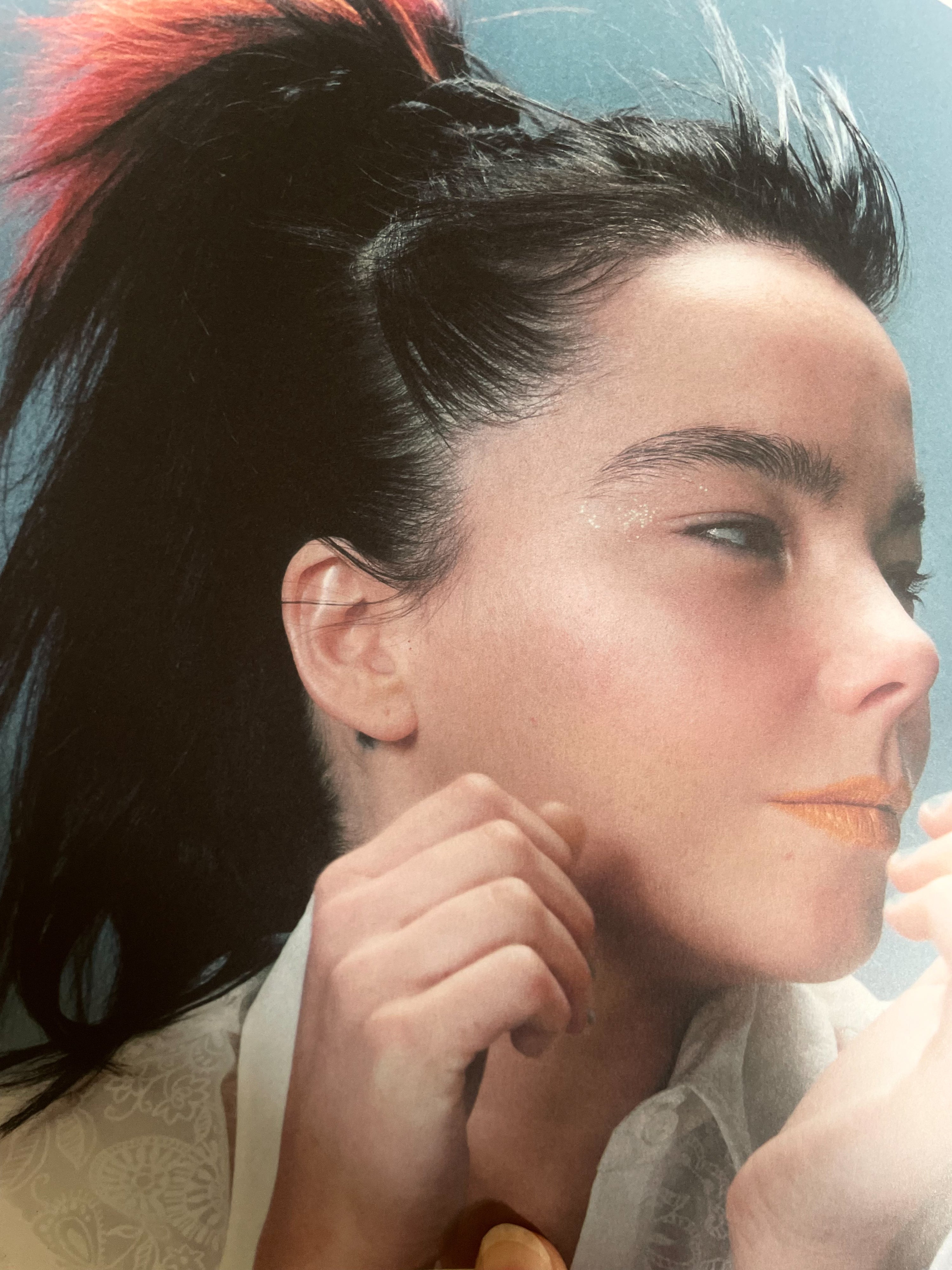 Björk as a book