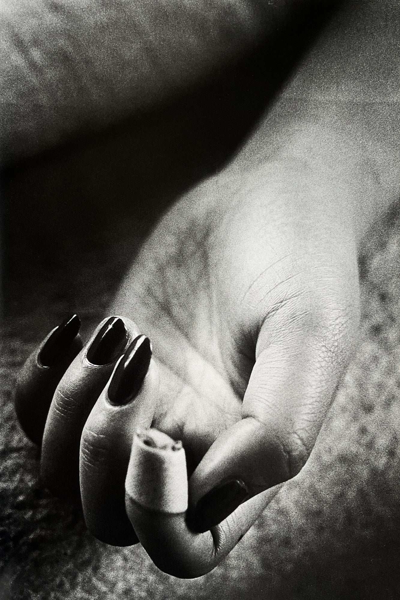 Fragments: Representation of Moriyama Daido 1964 - 1998 - Daido