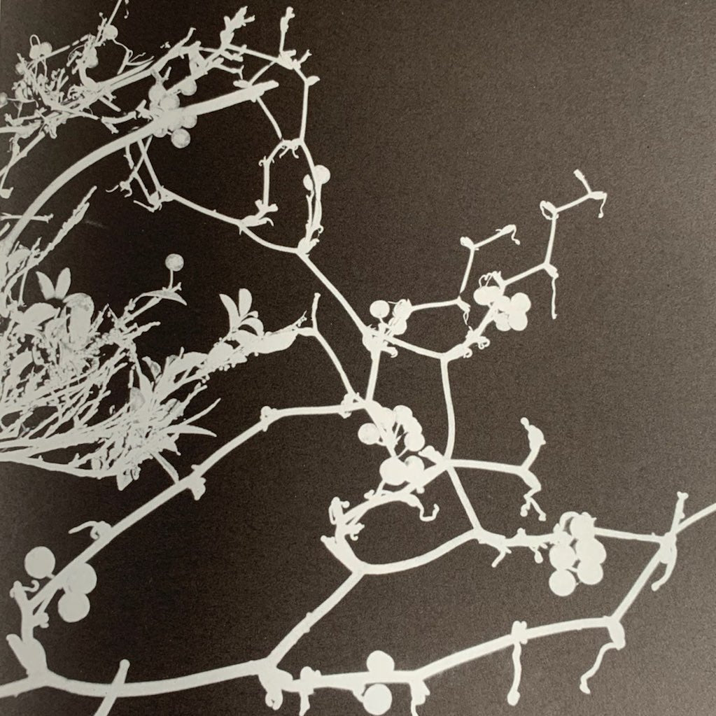 Ed In Japan: The Juergen Teller Book – In Form Library