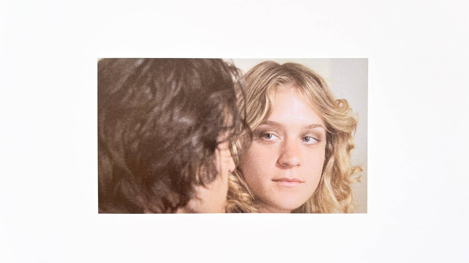 The Brown Bunny – In Form Library