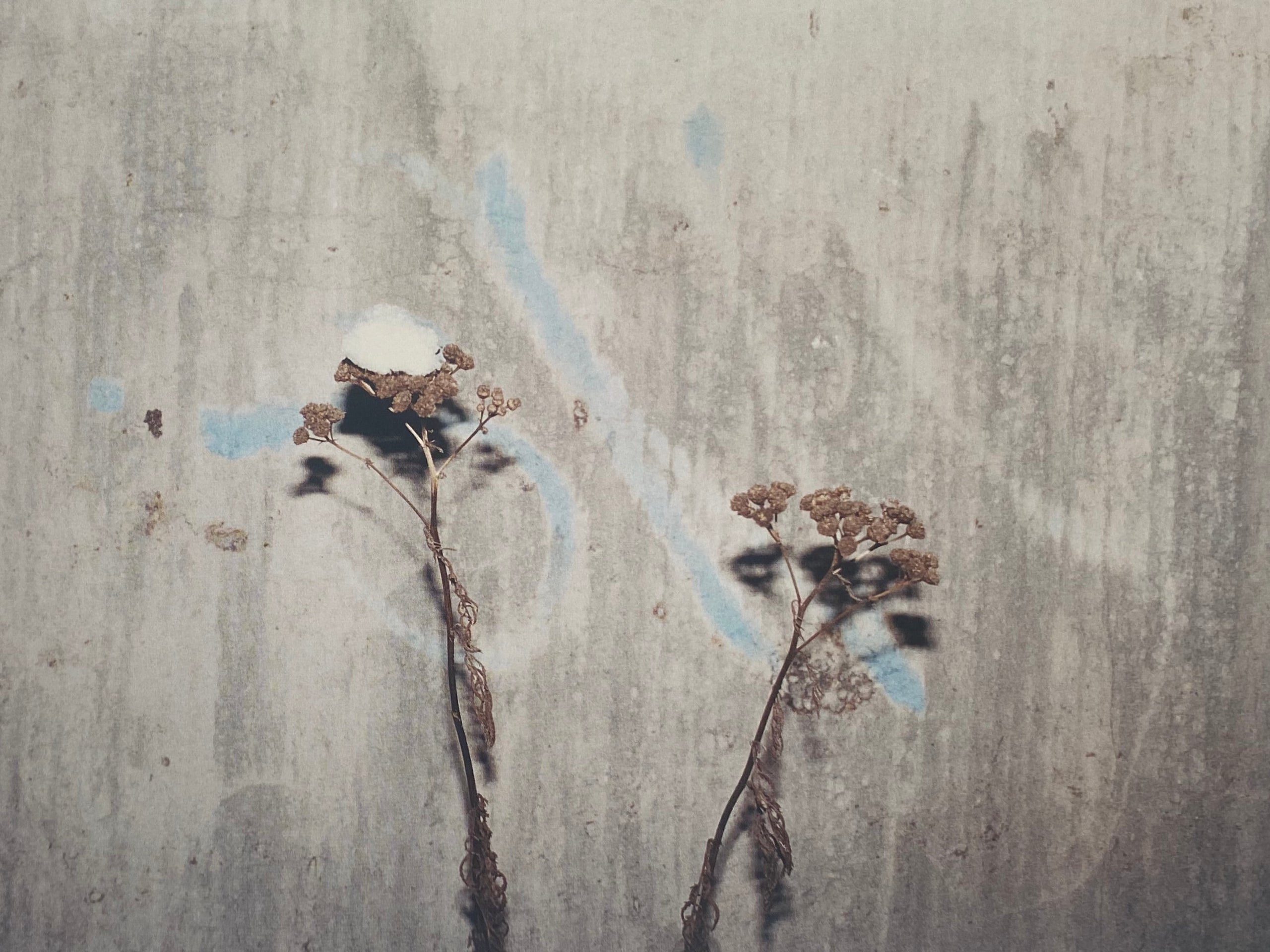 Nürnberg Juergen Teller – In Form Library